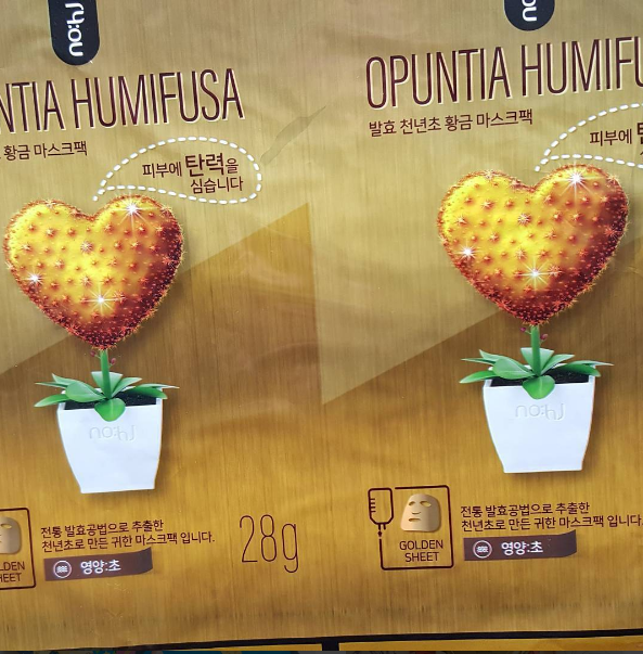 nohj 천년초 마스크팩 [영양초]